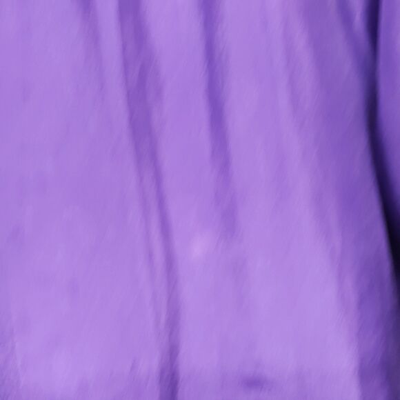 Marmie West Women’s 100% Silk Button-Up Shirt Deep Purple Long Sleeve Size M NWT - Picture 10 of 13